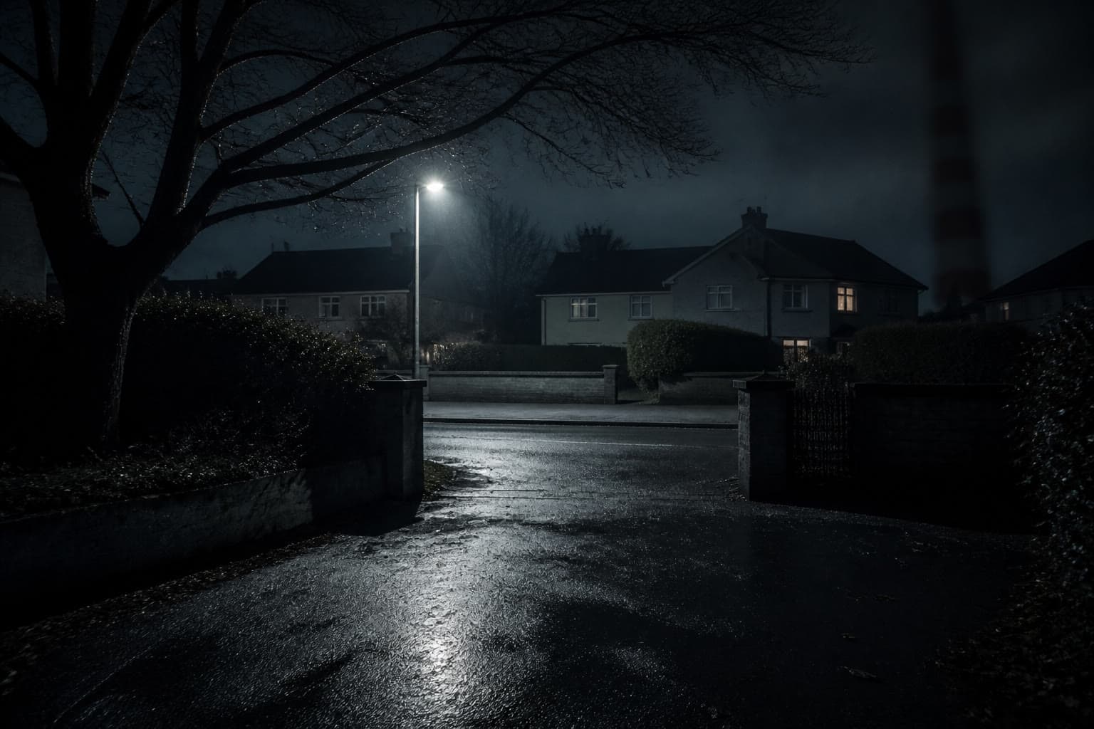Morph1k editorial stand-in of a wet suburban driveway at night under a cold streetlamp